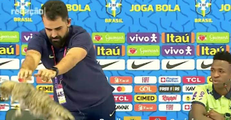 বিড়াল কাণ্ডে ব্রাজিলের কাছে ২ কোটি টাকা ক্ষতিপূরণ দাবি