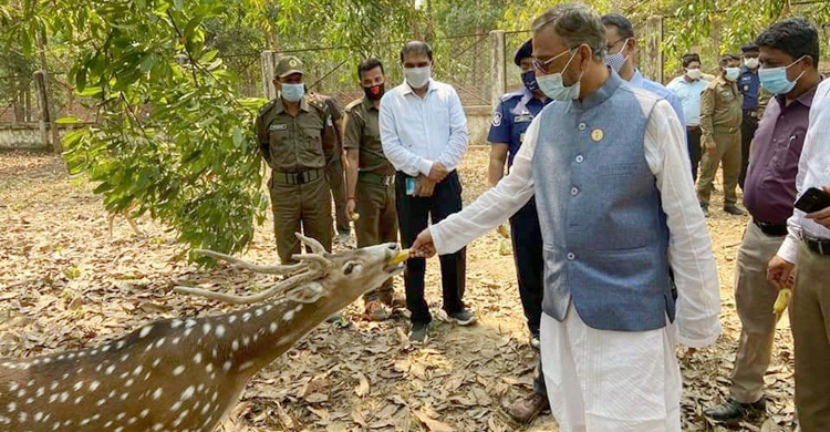 কক্সবাজারের সাফারি পার্ক হবে বিশ্বমানের : বনমন্ত্রী