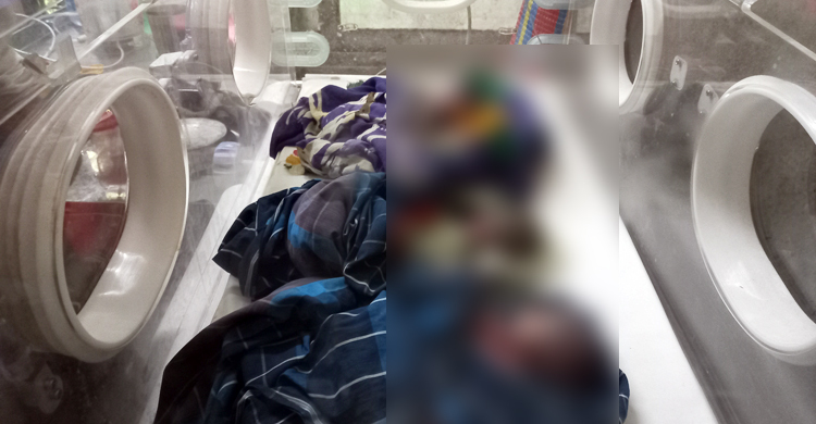 একসঙ্গে ৫ সন্তানের জন্ম, বাঁচলো না একটিও