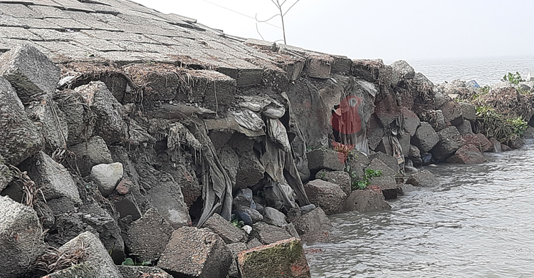 চাঁদপুর শহর রক্ষা বাঁধে ধস, ৫০ মিটার সিসি ব্লক মেঘনায় বিলীন