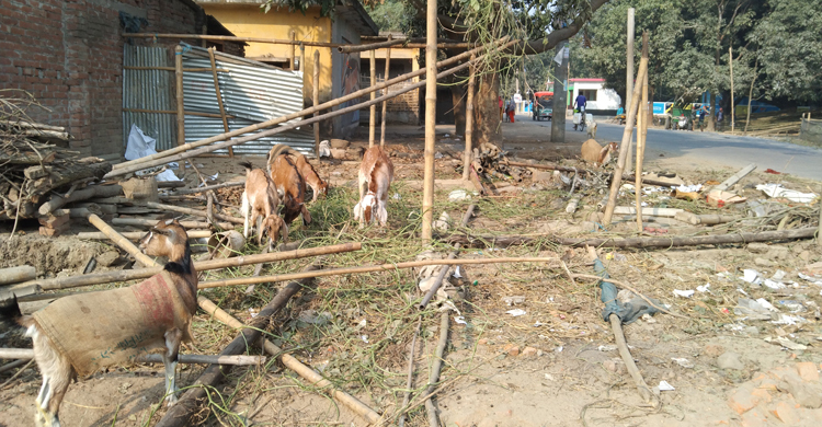 ১০ বছর নিজের জমিতে থাকতে দিয়ে তাড়িয়ে দিলেন ভোটে হেরে