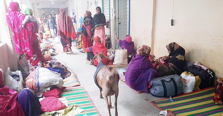 হাসপাতালের ডায়রিয়া ওয়ার্ডে ছাগল!