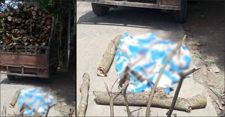 খেলতে গিয়ে পিকআপ চাপায় প্রাণ গেল ৪ বছরের শিশুর