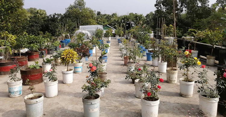 দৃষ্টি কেড়েছে বিদ্যালয়ের ছাদ বাগান