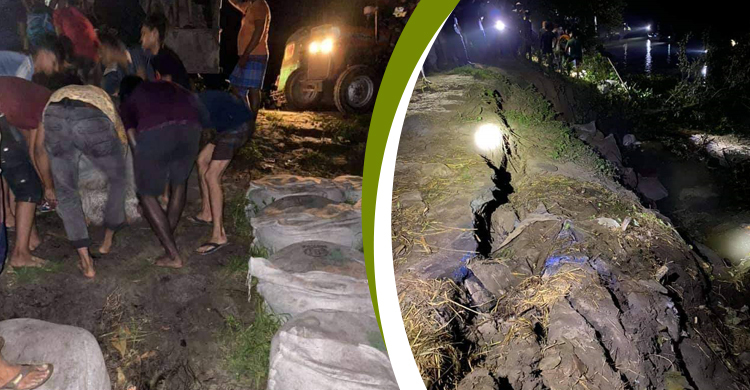 মেঘনা–ধনাগোধা সেচ প্রকল্পের বেড়িবাঁধে ভাঙন