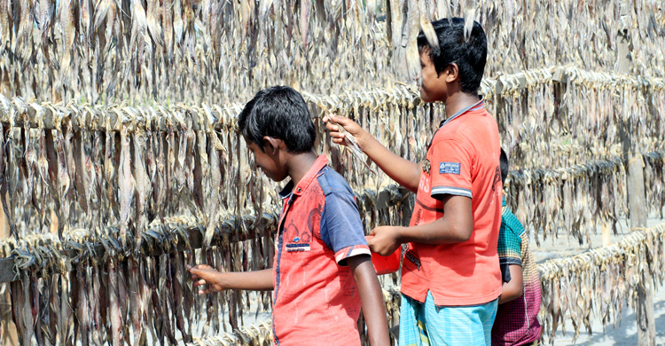 ওরা সুখের শৈশব ছেড়ে কষ্টের কর্মজীবনে