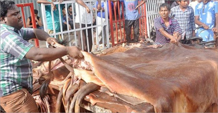 চামড়া কিনতে ৫৮৩ কোটি টাকা ঋণ দেবে ৯ ব্যাংক