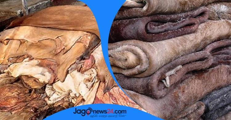 চামড়া ব্যবস্থাপনায় বাণিজ্য মন্ত্রণালয়ের তিন পর্যায়ে কমিটি