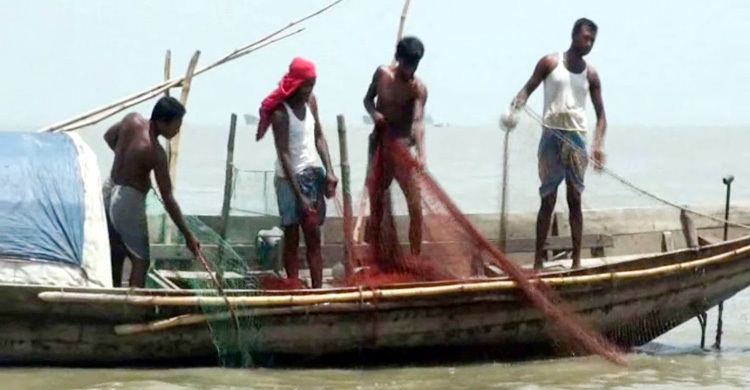 পদ্মা-মেঘনায় ২ মাস মাছ ধরা নিষেধ