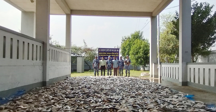 চাঁদপুরে ৬ হাজার কেজি জাটকা গেলো এতিমখানায়