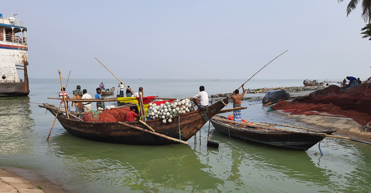 ফের স্বপ্ন বুনছেন চাঁদপুরের জেলেরা