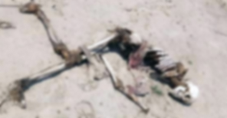 পদ্মার চরে মিলল কোমরে রশি বাঁধা কঙ্কাল