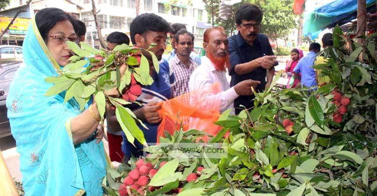 বাগান খালি বাজারেও নেই লিচু, দাম বেড়ে দ্বিগুণ