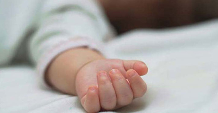 মায়ের কোল থেকে পড়ে ট্রাকচাপায় শিশুর মৃত্যু