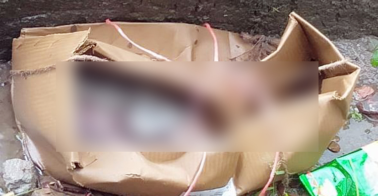 বালিকা বিদ্যালয়ের পাশ থেকে নবজাতকের মরদেহ উদ্ধার
