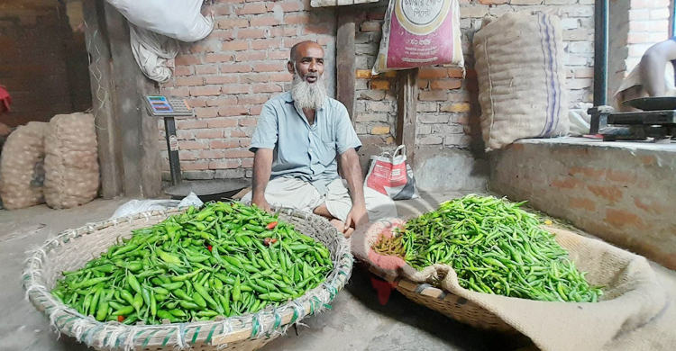 একদিনে ৫০ টাকা কমলো কাঁচামরিচের দাম