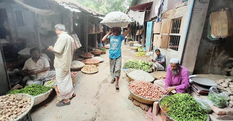 একদিনে ৫০ টাকা কমলো কাঁচামরিচের দাম
