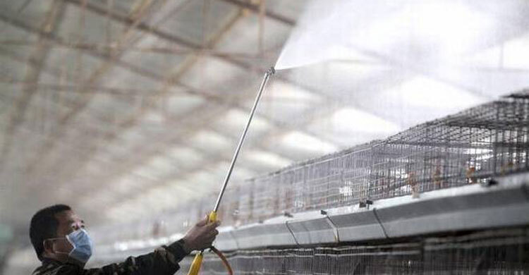 China reports human case of H10N3 bird flu