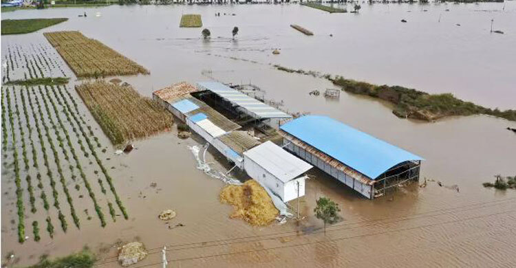 15 killed, 3 missing as rainstorms hit north China’s Shanxi
