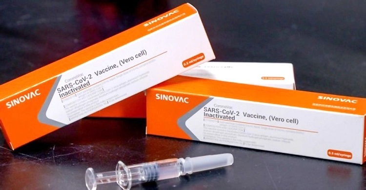 Govt allows use of Sinovac vaccine