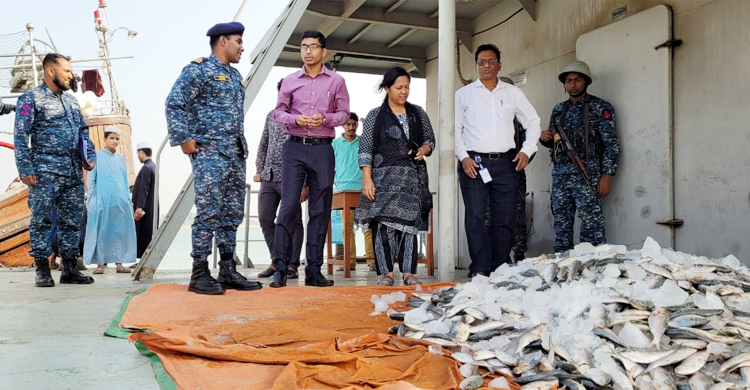 পতেঙ্গায় ২০ মণ জাটকা জব্দ, ১৭ জেলেকে জরিমানা
