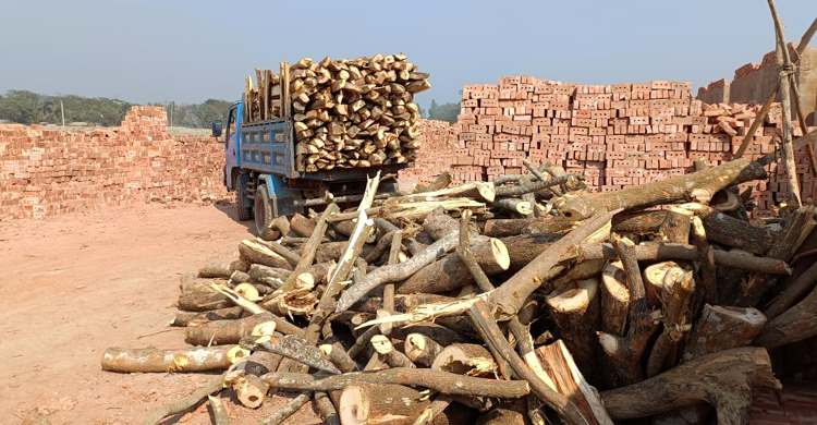 ফসলি জমির মাটি দিয়ে ইট তৈরি, জরিমানা এক লাখ