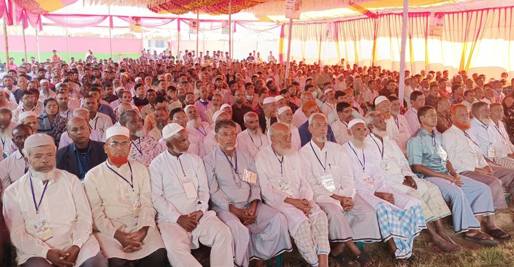 মিরসরাইয় থেকে যোগ দিবে ২৫ হাজার নেতাকর্মী
