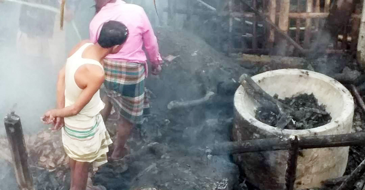 মশার কয়েল থেকে গোয়ালঘরে আগুন, পুড়লো ৬ গরু-ছাগল