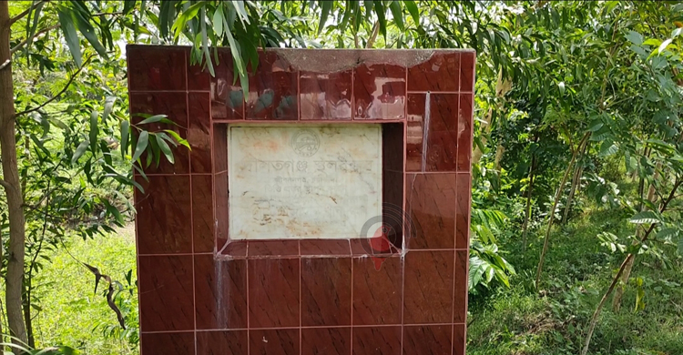 ৮ বছরেও চালু হয়নি দৌলৎগঞ্জ স্থলবন্দর