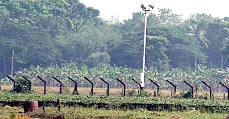 জীবননগর সীমান্তে যুবককে কুপিয়ে হত্যা