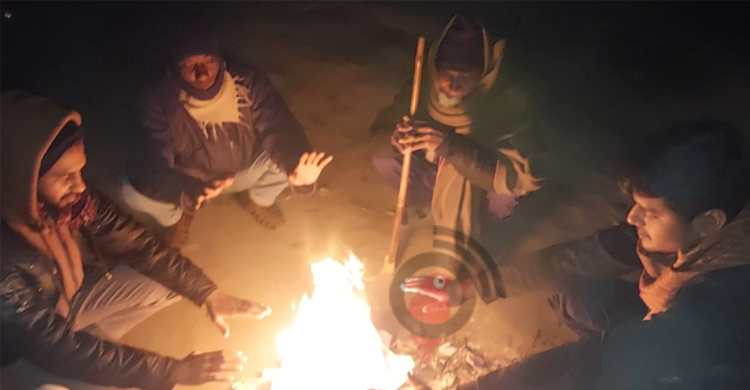 কনকনে ঠান্ডায় বিপর্যস্ত চুয়াডাঙ্গা