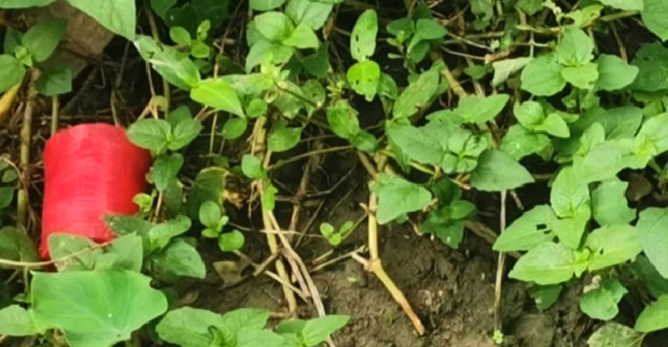 চুয়াডাঙ্গায় বোমাসদৃশ বস্তু উদ্ধার