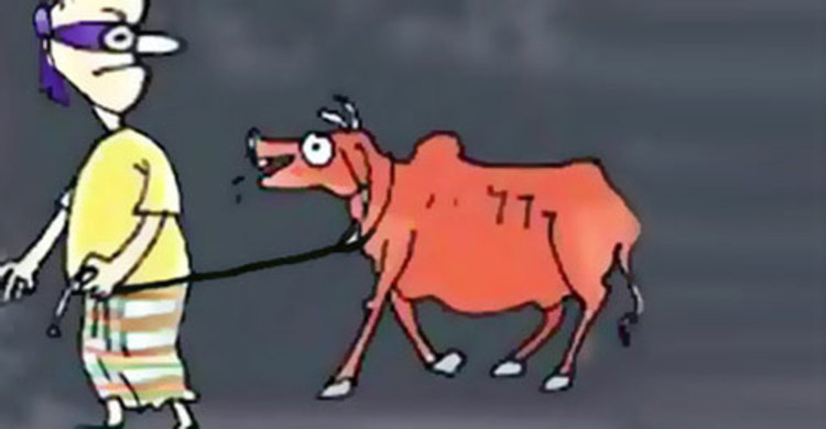 একরাতে তিন কৃষকের ১১ গরু চুরি