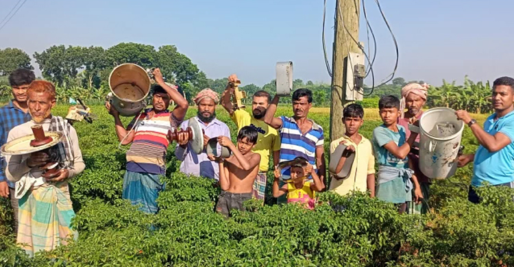 ট্রান্সফরমার চুরি, ধানক্ষেতে সেচ নিয়ে দুশ্চিন্তায় কৃষকরা
