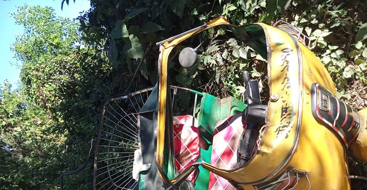 অটোরিকশা উল্টে মারা গেলেন কলেজছাত্রী