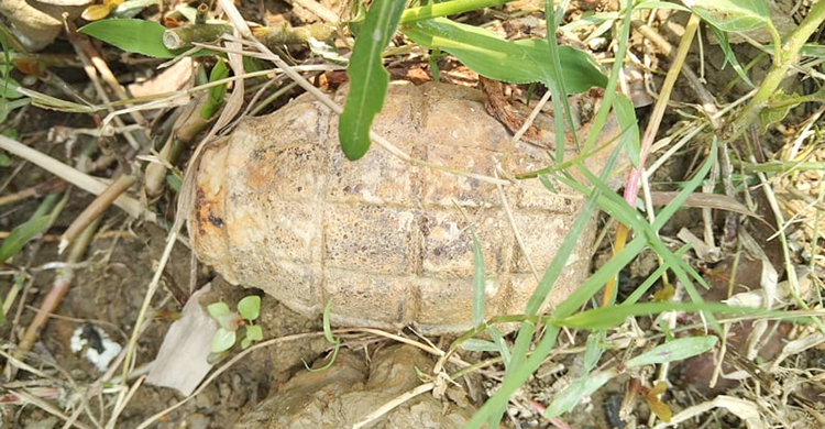 পুকুরপাড়ে মিললো মুক্তিযুদ্ধকালের হ্যান্ড গ্রেনেড