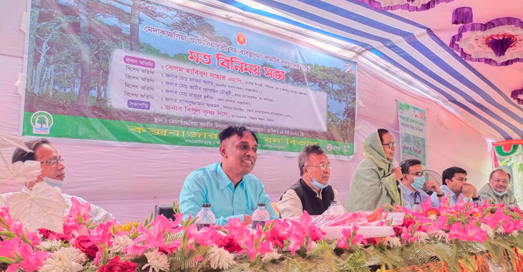 জনপ্রতিনিধি-বনে কর্মরতরাই দখলবাজিতে জড়িত: হাবিবুন নাহার