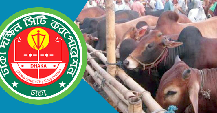 ডিএসসিসির ৫ পশুর হাটে ফের টেন্ডার হতে পারে