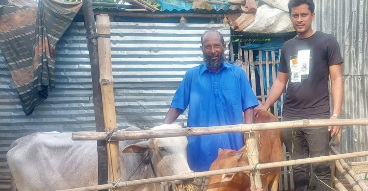 ফেসবুকে পোস্ট দিয়ে কৃষকের দুটি ষাঁড় গরু কিনে দিলেন যুবক