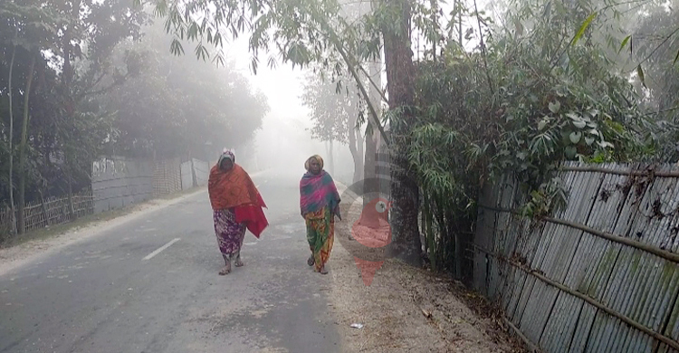 মৃদু শৈত্যপ্রবাহে বিপাকে কুড়িগ্রামের চরবাসী