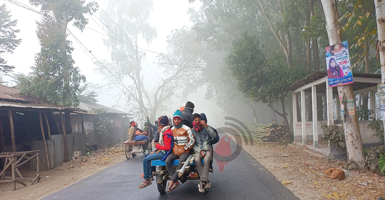 লালমনিরহাটে তীব্র শীত, বৃষ্টির মতো ঝরছে কুয়াশা