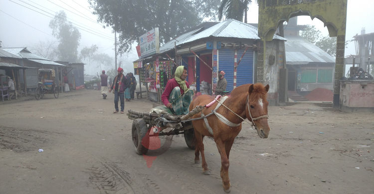 বৃষ্টির পর শৈত্যপ্রবাহের কবলে কুড়িগ্রাম
