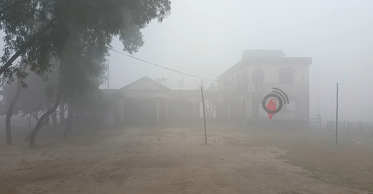 লালমনিরহাটে তীব্র শীত, বৃষ্টির মতো ঝরছে কুয়াশা
