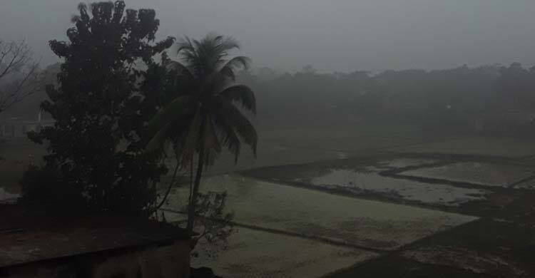 মাঘের শীতে কাঁপছে চায়ের রাজ্য
