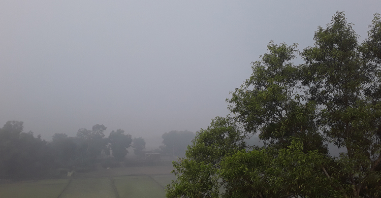 সর্বনিম্ন তাপমাত্রায় চায়ের রাজ্যে শীতের দাপট