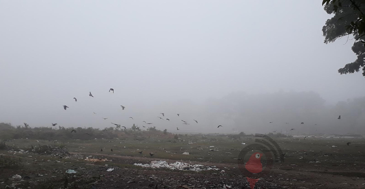 দিনাজপুরে আজ কনকনে শীত