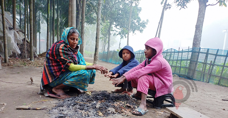 লালমনিরহাটে তীব্র শীত, বৃষ্টির মতো ঝরছে কুয়াশা