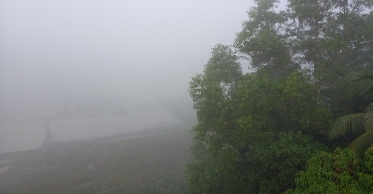 চায়ের রাজ্যে বয়ে যাচ্ছে মৃদু শৈত্যপ্রবাহ