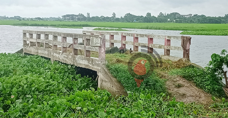 চার বছর ধরে বিলের মাঝেই দাঁড়িয়ে চার সেতু