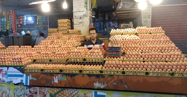 কুমিল্লায় হালিতে ডিমের দাম কমলো ৮ টাকা
